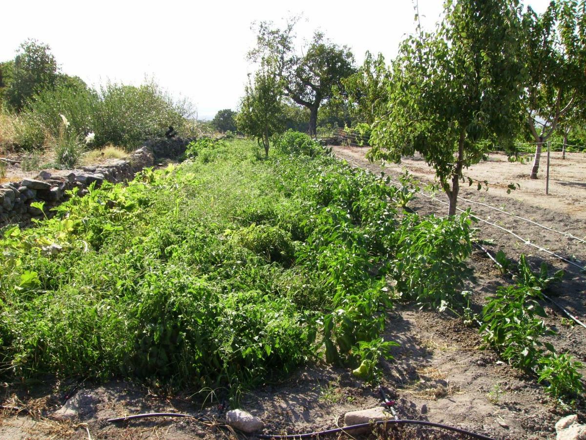 El Majano Pension Montánchez Buitenkant foto
