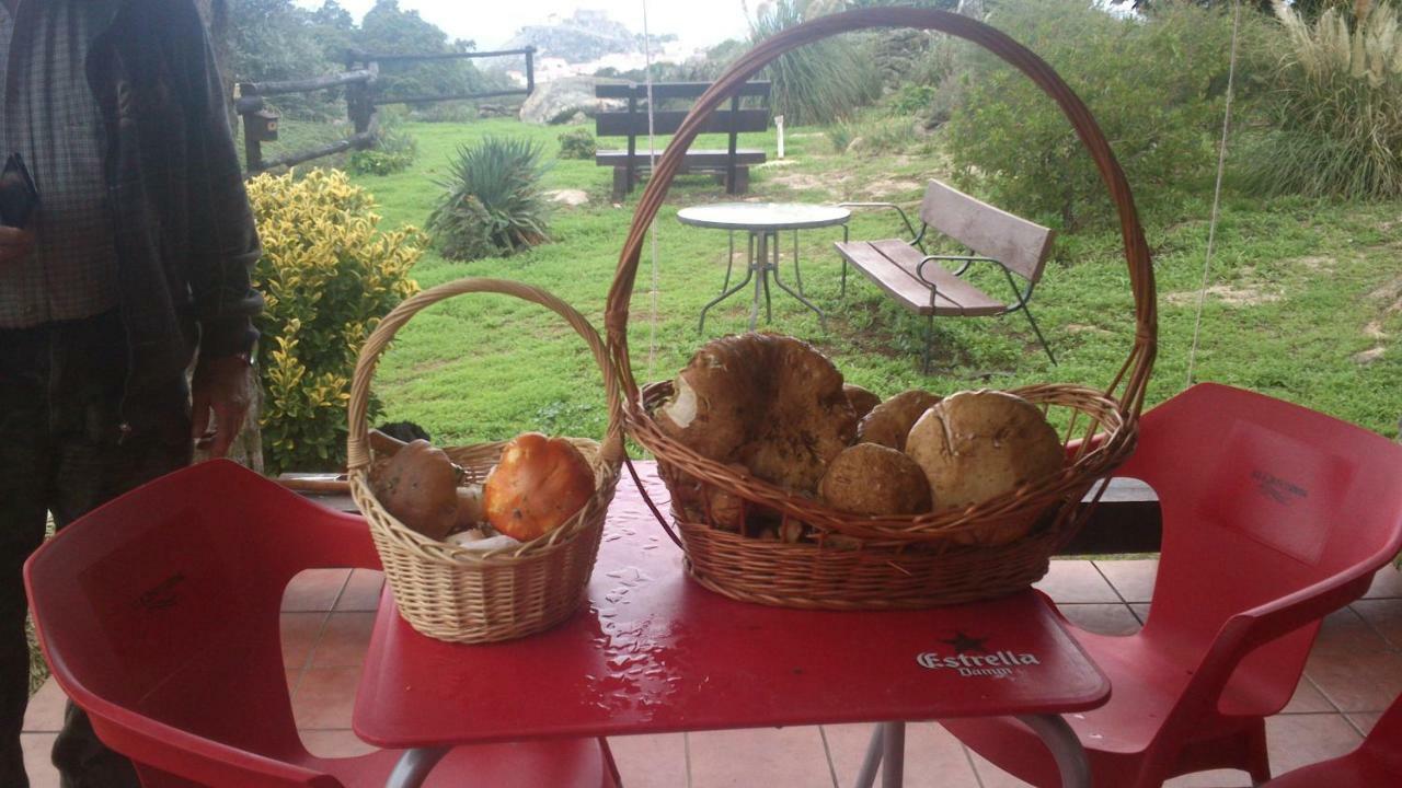 El Majano Pension Montánchez Buitenkant foto